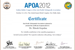 Delhi-Faculty-at-Asia-Pacific-Orthopaedic-Association